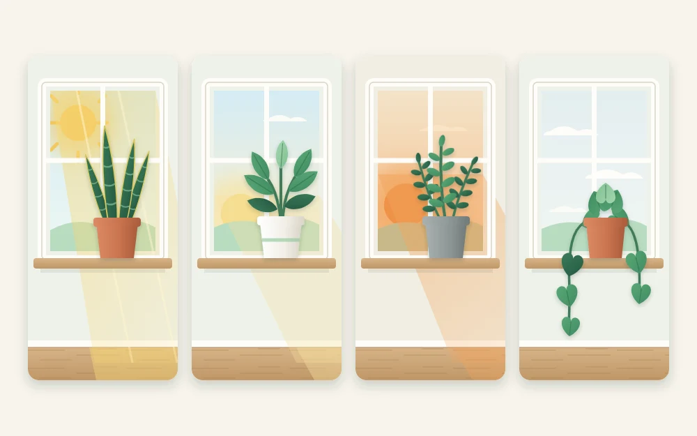 Four windows in a row, each with a potted plant, showing strong sunbeams, soft low sun, warm orange sun and even light