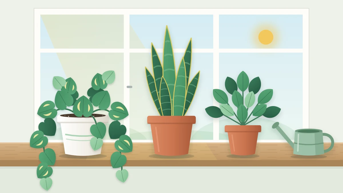 A bright windowsill with three potted houseplants in terracotta and white pots and a small watering can beside them