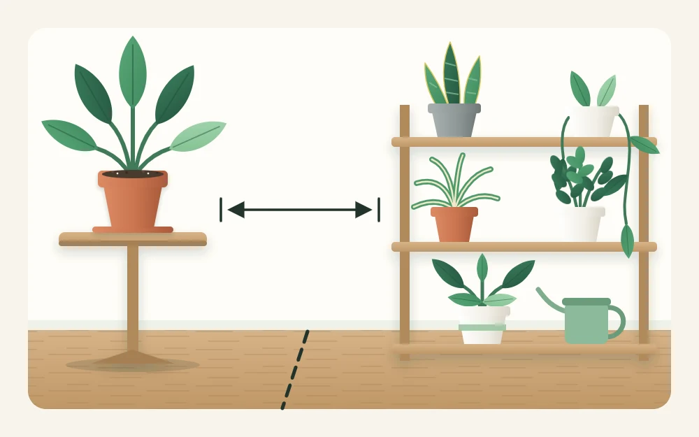 One potted plant standing alone on a small table, separated by a dashed line from a shelf holding a group of other plants