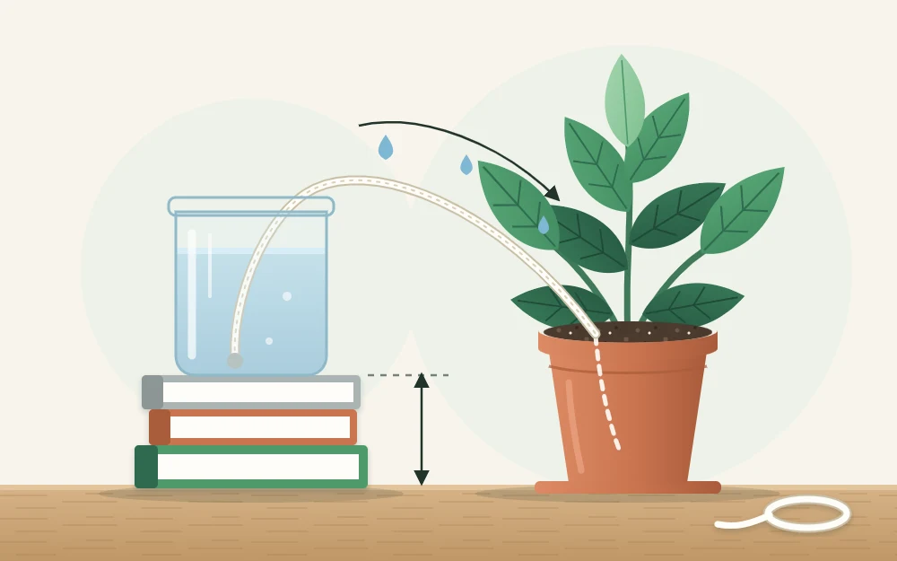 A jar of water raised on a small stand, with a cotton cord running from the water down into the soil of a potted plant