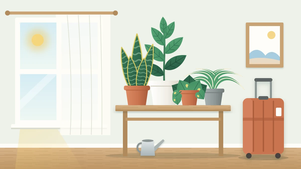 Several houseplants grouped on a table set back from a window with a half-drawn sheer curtain, and a closed suitcase on the floor