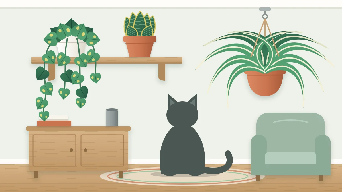 Two plants on a high wall shelf and one in a hanging planter, with a cat sitting calmly on the floor looking up