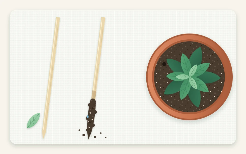 Two wooden skewers side by side, one clean and pale along its length and one with dark moist soil on the lower third