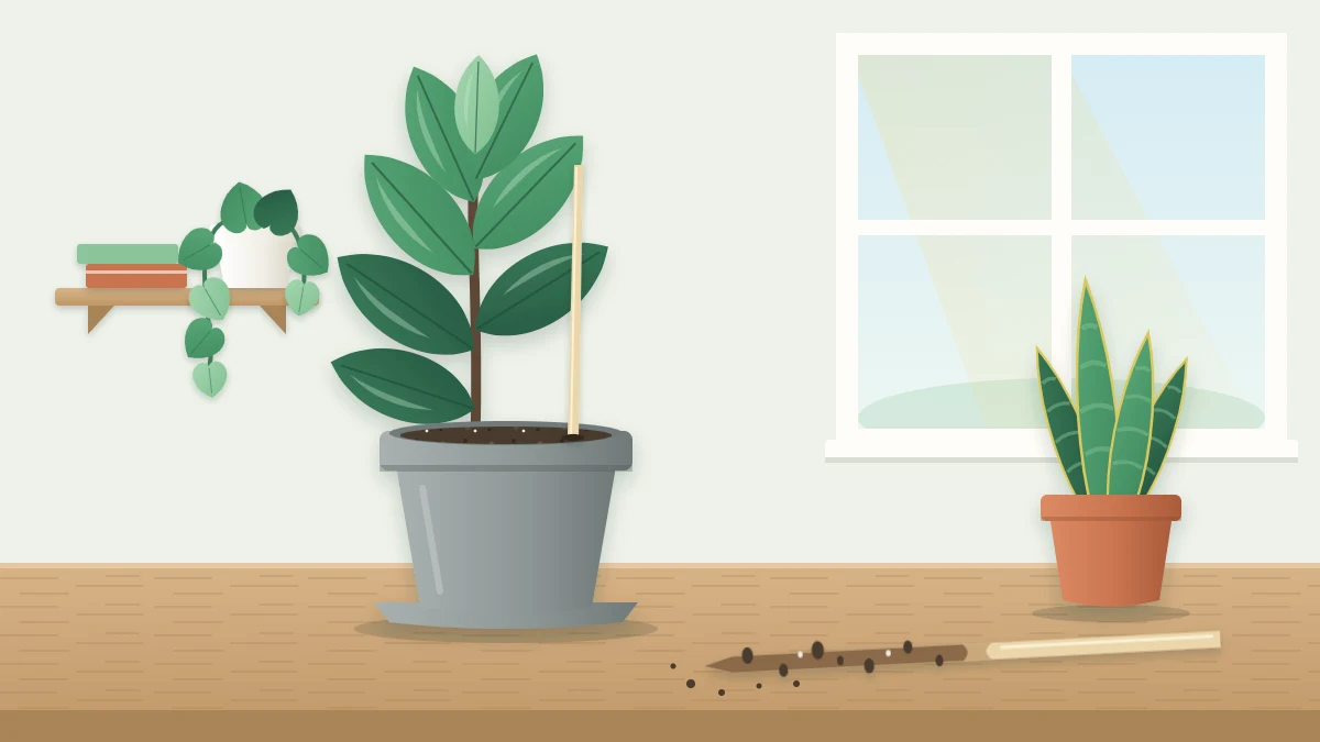 A potted houseplant with a wooden skewer standing in its soil and a second skewer beside the pot with a darker damp lower half