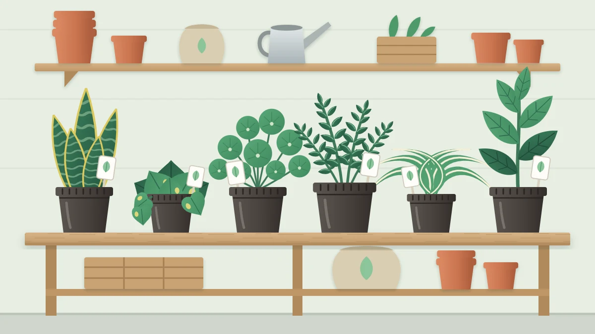 A plant shop bench with a row of assorted small houseplants in plain nursery pots, each with a blank label stick