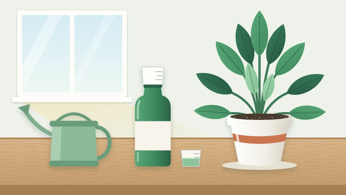 A plain unlabeled bottle of liquid plant fertilizer with a measuring cap beside a watering can and a healthy potted houseplant