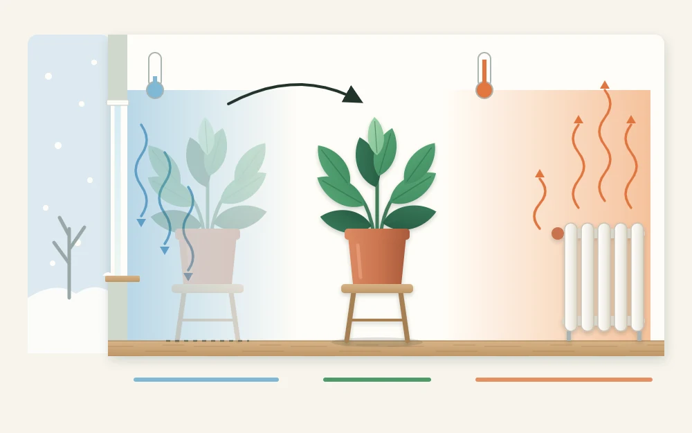 Side view of a winter room with a plant between a cold window and a warm radiator, and an arrow moving it clear of both